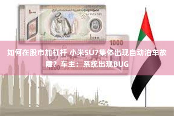 如何在股市加杠杆 小米SU7集体出现自动泊车故障？车主：系统出现BUG