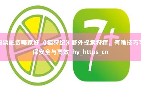 股票融资哪家好 《猫狩纪》野外探索狩猎，有啥技巧可保安全与高效_hy_https_cn