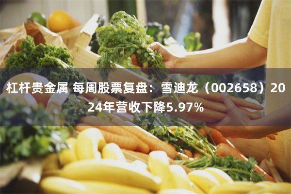 杠杆贵金属 每周股票复盘：雪迪龙（002658）2024年营收下降5.97%