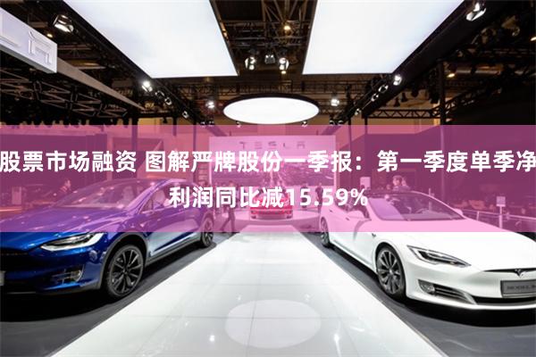 股票市场融资 图解严牌股份一季报：第一季度单季净利润同比减15.59%