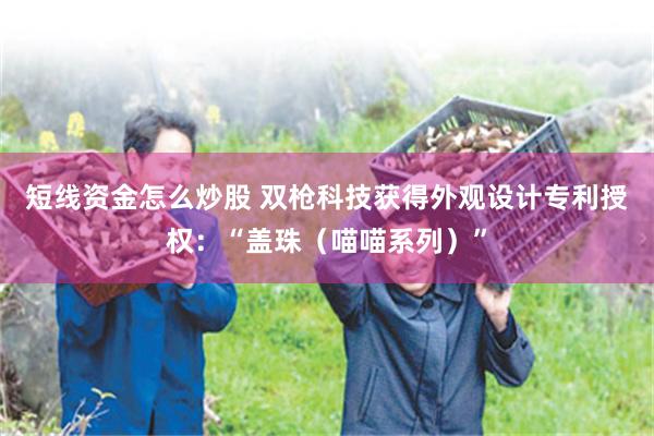 短线资金怎么炒股 双枪科技获得外观设计专利授权：“盖珠（喵喵系列）”
