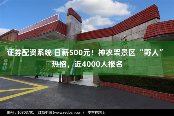 证券配资系统 日薪500元！神农架景区 “野人” 热招，近4000人报名