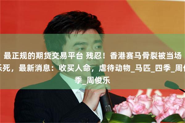 最正规的期货交易平台 残忍！香港赛马骨裂被当场安乐死，最新消息：收买人命，虐待动物_马匹_四季_周俊乐